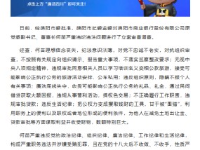 绵阳市商业银行原党委副书记、董事长何苗被开除党籍和公职