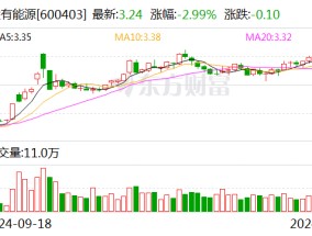 大有能源：董事邵轩、董事兼总经理张林辞职