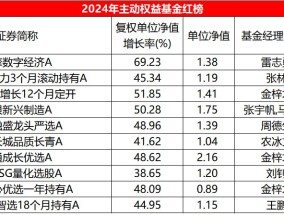 2024主动权益基金红黑榜：平均收益5.72%，多位老将马失前蹄