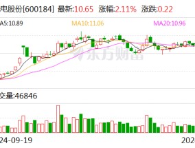 光电股份：控股股东及其一致行动人拟增持公司股份