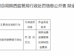 比亚迪汽车金融有限公司被罚30万元：因关联交易管理不到位